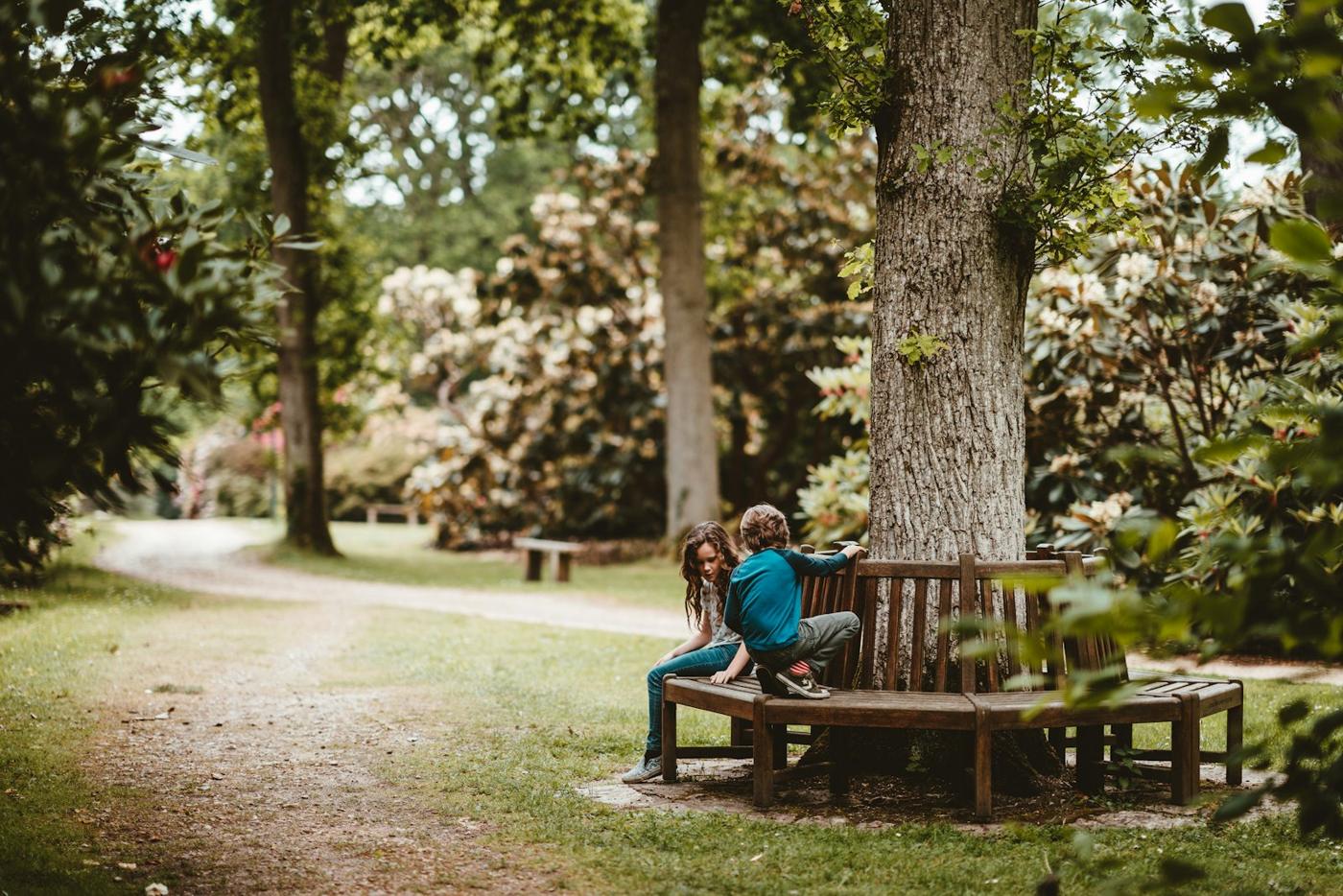 Two children sit on a bench beneath a large tree